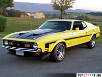 Mustang Boss 351