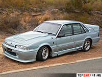 1988 Holden Commodore HSV SS Group A (VL)