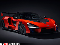 Senna (P15)