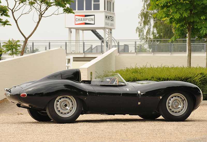 1954 Jaguar D-Type