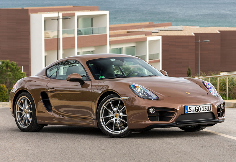 2013 Porsche Cayman (981C)