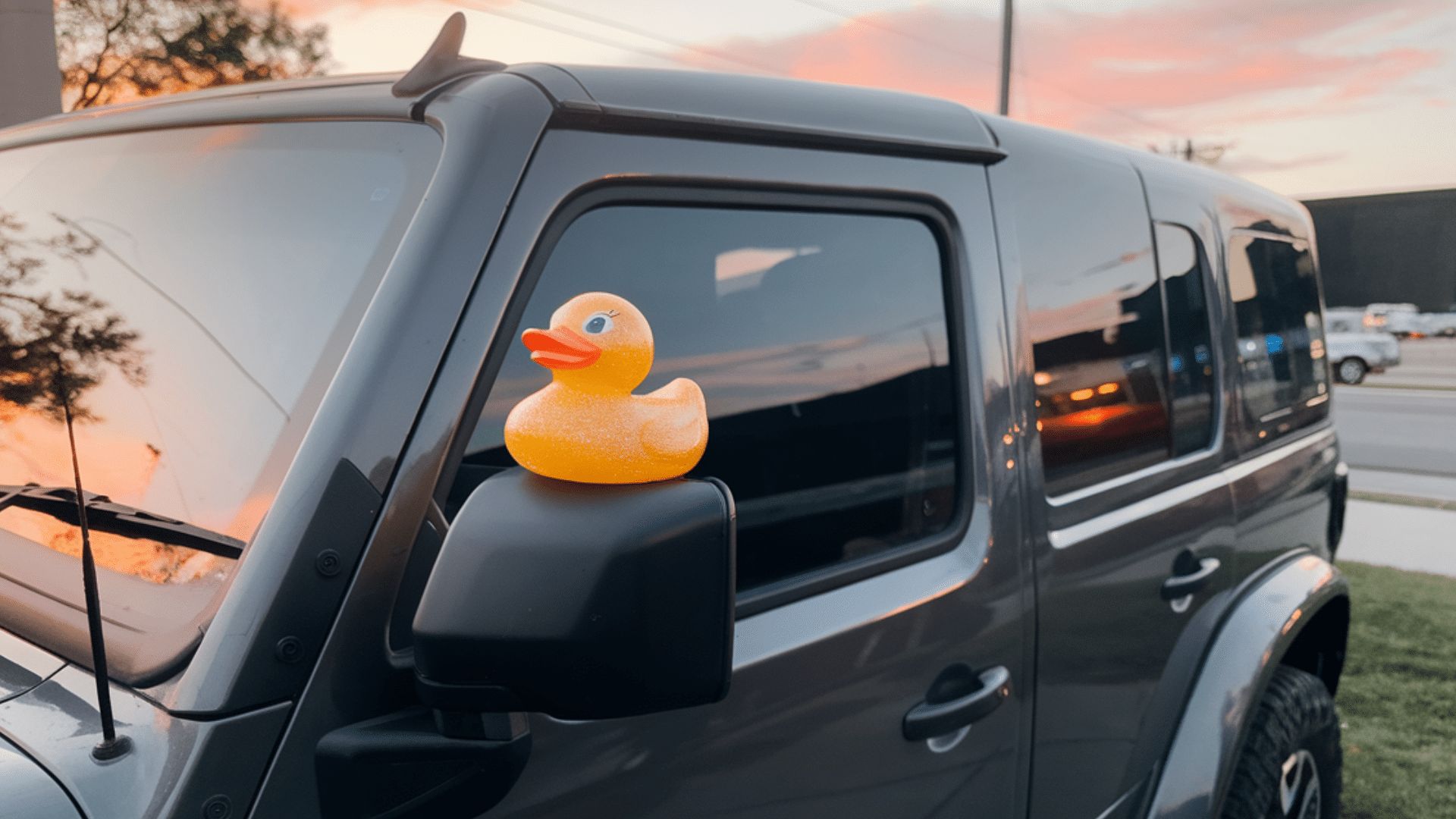 Where_Do_People_Place_the_Ducks