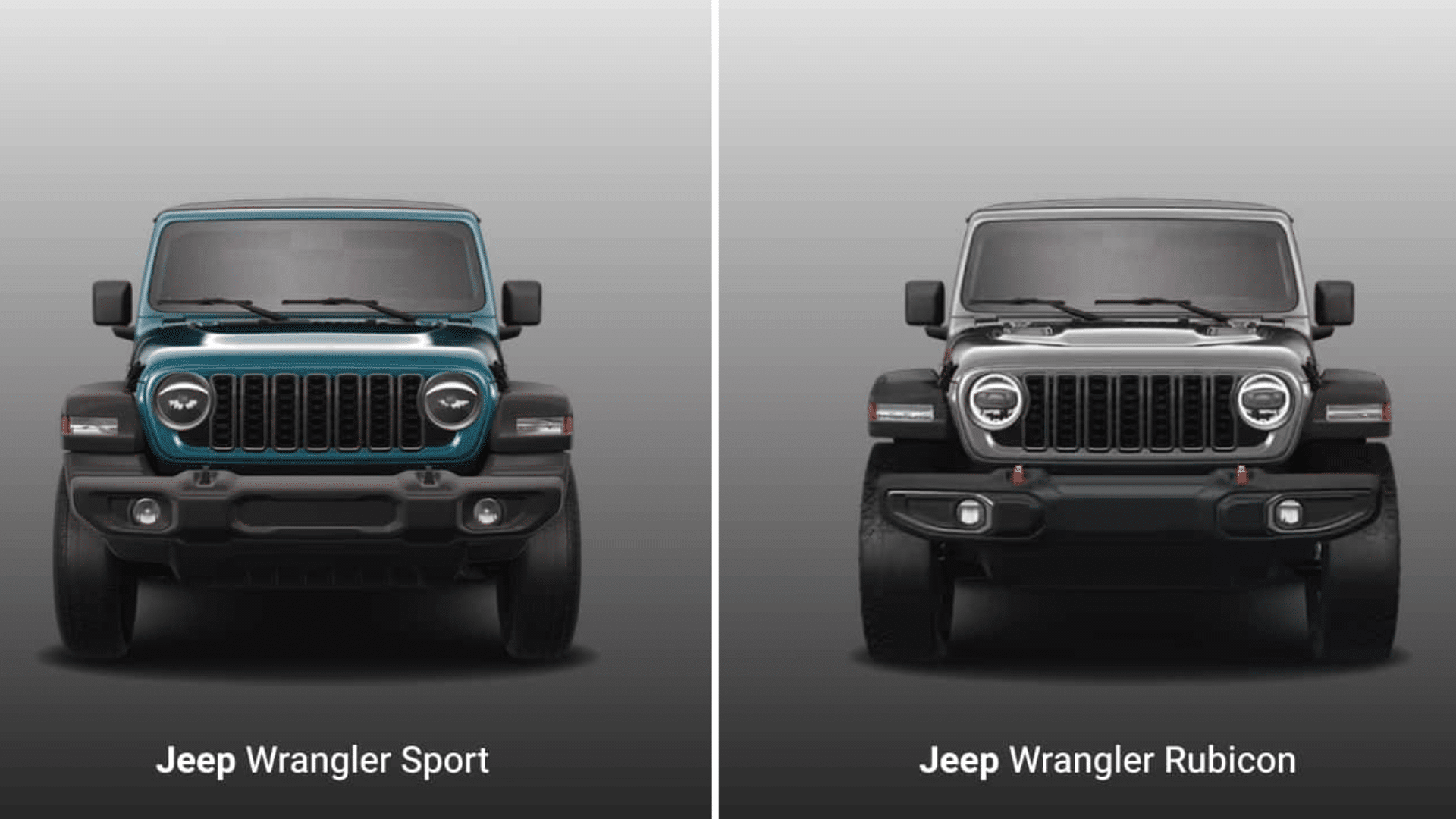 jeep wrangler vs rubicon