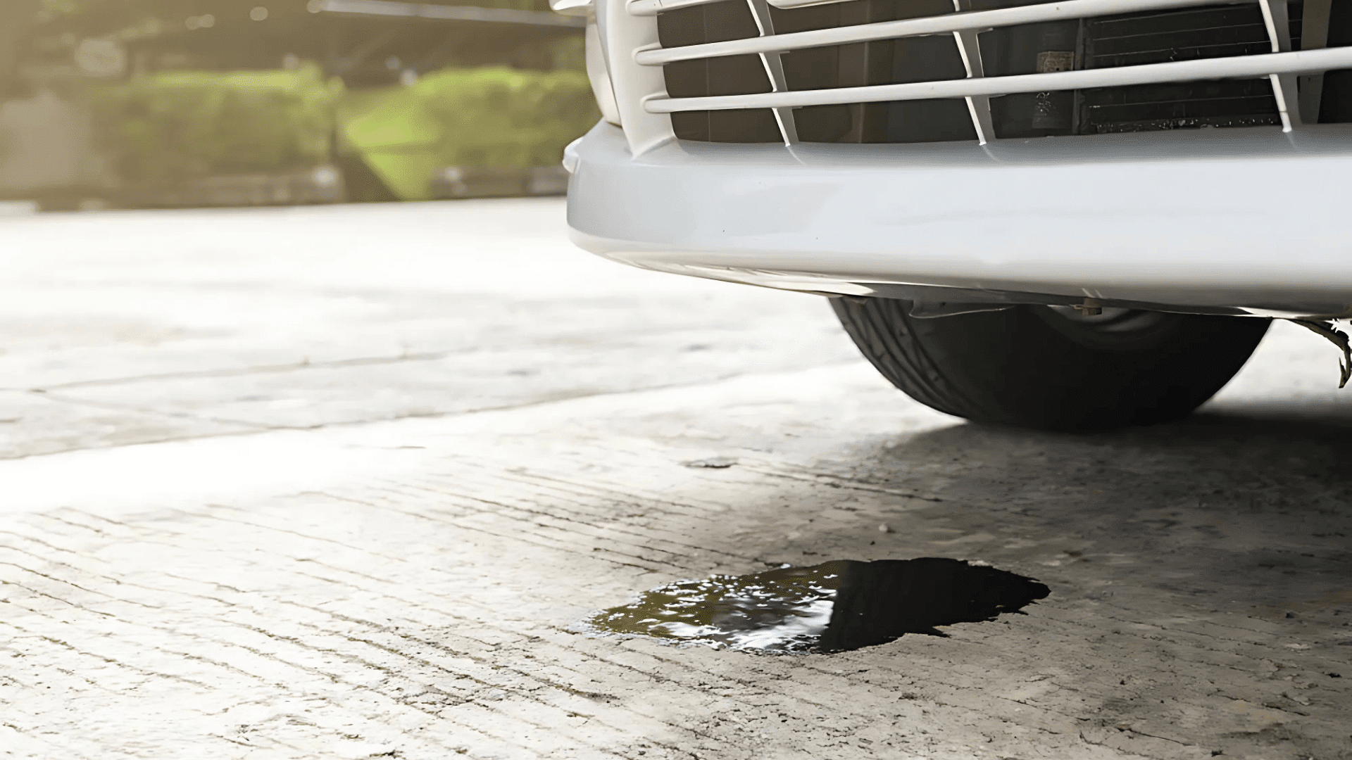 When-to-See-a-Mechanic-About-Leaking-Oil