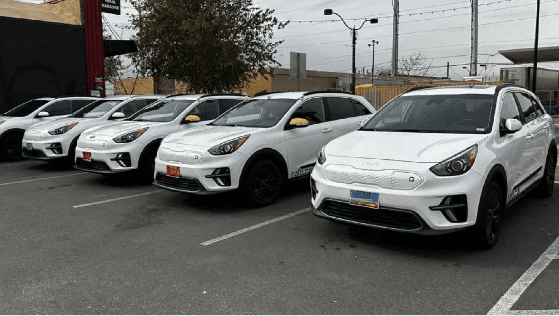 halo car usa